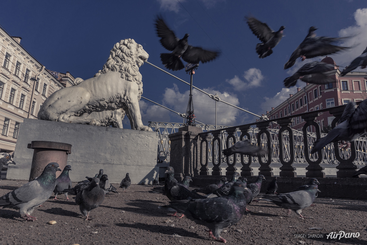 St.Petersburg (Санкт-Петербург)